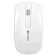 Keyteck MS-1061 mouse RF Wireless Ottico 1000 DPI 3