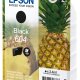 Epson 604 cartuccia d'inchiostro 1 pz Originale Nero 2