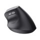 Trust Bayo II mouse Medico Mano destra RF Wireless Ottico 2400 DPI 7