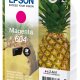 Epson 604 cartuccia d'inchiostro 1 pz Originale Resa standard Magenta 2