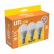 Beghelli LiteLED.6 Lampadina a risparmio energetico Bianco freddo 6500 K 13 W E27 F 3