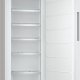 Miele FN 4372 D Congelatore verticale Libera installazione 277,9 L Bianco 4