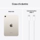 Apple iPad mini Wi-Fi 256GB - Galassia 11