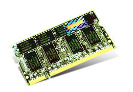 Transcend 1 GB DDR DDR333 Non-ECC Memory memoria 333 MHz