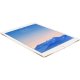 Apple iPad Air 2 4G LTE 64 GB 24,6 cm (9.7