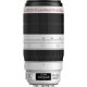 Canon Obiettivo EF 100-400mm f/4.5-5.6L IS II USM 2