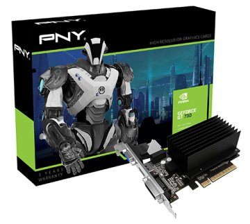 PNY GF730GT1GEPB scheda video NVIDIA GeForce GT 730 1 GB GDDR3