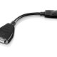 Lenovo 45J7915 cavo e adattatore video 0,2 m DVI-D DisplayPort Nero 2