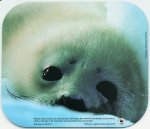 Fellowes WWF Mouse Pad - Seal Multicolore