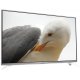 LG 49LF590V TV 124,5 cm (49