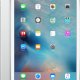 Apple iPad Pro 256 GB 32,8 cm (12.9