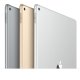 Apple iPad Pro 256 GB 32,8 cm (12.9