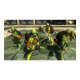 Activision Teenage Mutant Ninja Turtles: Mutants in Manhattan, Xbox 360 Standard ITA 3
