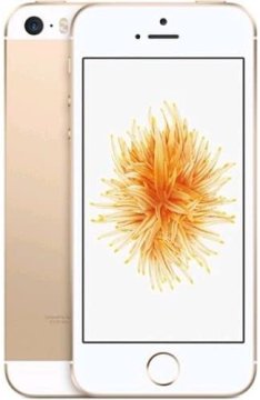 TIM Apple iPhone SE 10,2 cm (4") SIM singola iOS 9 4G 16 GB Rose Oro