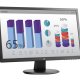 HP V243 Monitor PC 61 cm (24