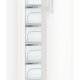 Liebherr GNP 3255 Premium NoFrost Congelatore verticale Libera installazione 194 L Bianco 7