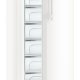 Liebherr GNP 4155 congelatore Congelatore verticale Libera installazione 263 L Bianco 5