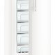 Liebherr GNP 3855 congelatore Congelatore verticale Libera installazione 214 L Bianco 7