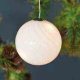 Sirius Home Heaven Figura luminosa decorativa Trasparente, Bianco 10 lampada(e) LED 2