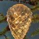 Sirius Home Celina Cone Figura luminosa decorativa Trasparente 20 lampada(e) LED 2