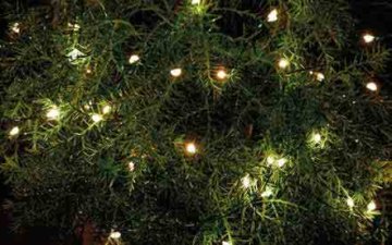 Sirius Home Knirke Ghirlanda di luci decorative Verde, Trasparente 160 lampada(e) LED 2,4 W
