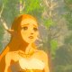 Nintendo The Legend of Zelda: Breath of the Wild 3