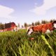 SOEDESCO Real Farm Sim 5