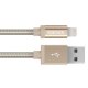 Kanex 1.2m, Lightning/USB-A 1,2 m Oro 2