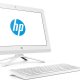 HP 20-c024nl Intel® Celeron® J3060 49,5 cm (19.5