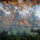 Electronic Arts Unravel Yarny Bundle, PS4 Standard Inglese PlayStation 4 8