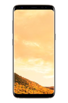 Samsung Galaxy S8 SM-G950FD 14,7 cm (5.8") Doppia SIM Android 7.0 4G USB tipo-C 4 GB 64 GB 3000 mAh Oro