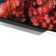 LG OLED55C9PLA TV 139,7 cm (55