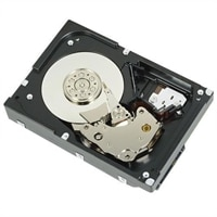 DELL 400-AUUX disco rigido interno 3.5" 4 TB Serial ATA III