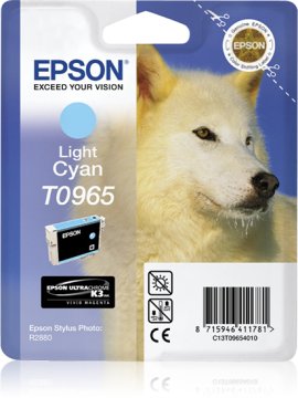 Epson Husky Cartuccia Ciano chiaro