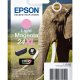 Epson Elephant Cartuccia Magenta chiaro XL 2