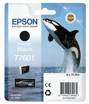 Epson Nero Photo T7601