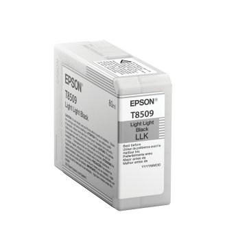 Epson Singlepack Light Light Nero T850900
