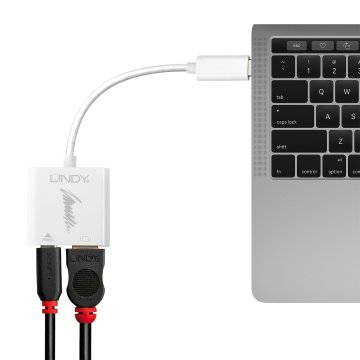 Lindy 43196 adattatore grafico USB 3840 x 2160 Pixel Bianco