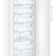 Liebherr GN 4635-20 congelatore Congelatore verticale Libera installazione 312 L Bianco 5