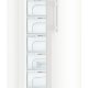 Liebherr GN 4635-20 congelatore Congelatore verticale Libera installazione 312 L Bianco 6