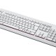 Fujitsu KB521 IT tastiera Ufficio USB Italiano Grigio 2