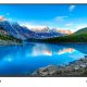 TCL 43P615 TV 109,2 cm (43