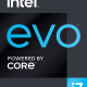 DELL Inspiron 7306 Intel® Core™ i7 i7-1165G7 Ibrido (2 in 1) 33,8 cm (13.3