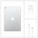 Apple iPad 10.2