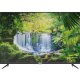 TCL 55P615 TV 139,7 cm (55