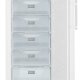 Liebherr GNP 3013-21 congelatore Congelatore verticale Libera installazione 257 L Bianco 3