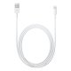 Apple Cavo da lightning a USB 2mt 4