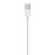 Apple Cavo da lightning a USB 2mt 7