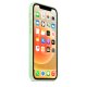 Apple Custodia MagSafe in silicone per iPhone 12 | 12 Pro - Pistacchio 13