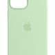 Apple Custodia MagSafe in silicone per iPhone 12 Pro Max - Pistacchio 2